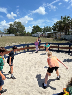 Gaga Ball Pit