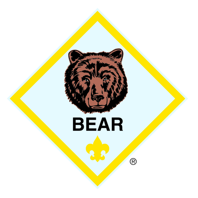 Bear Scouts