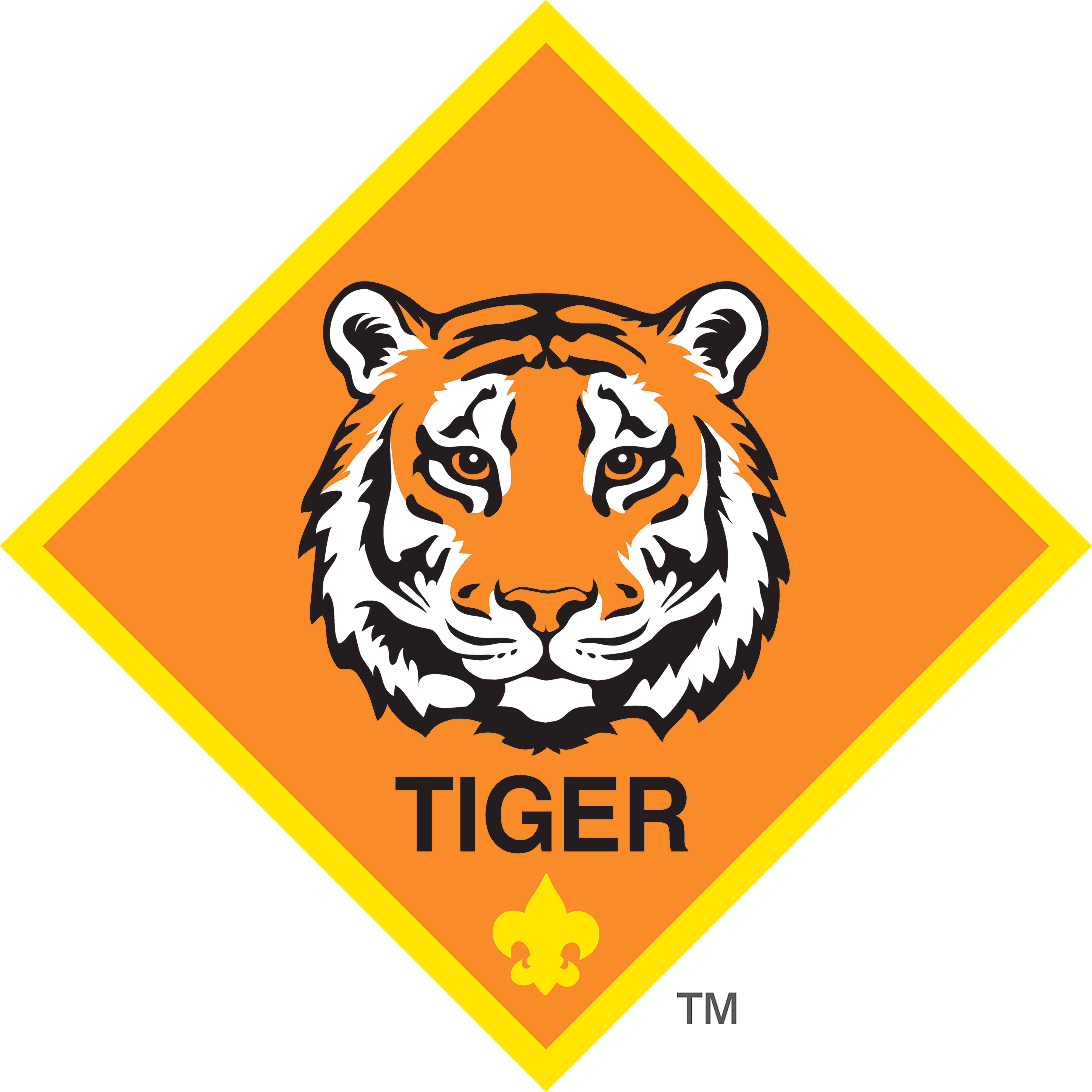 Tiger Scouts
