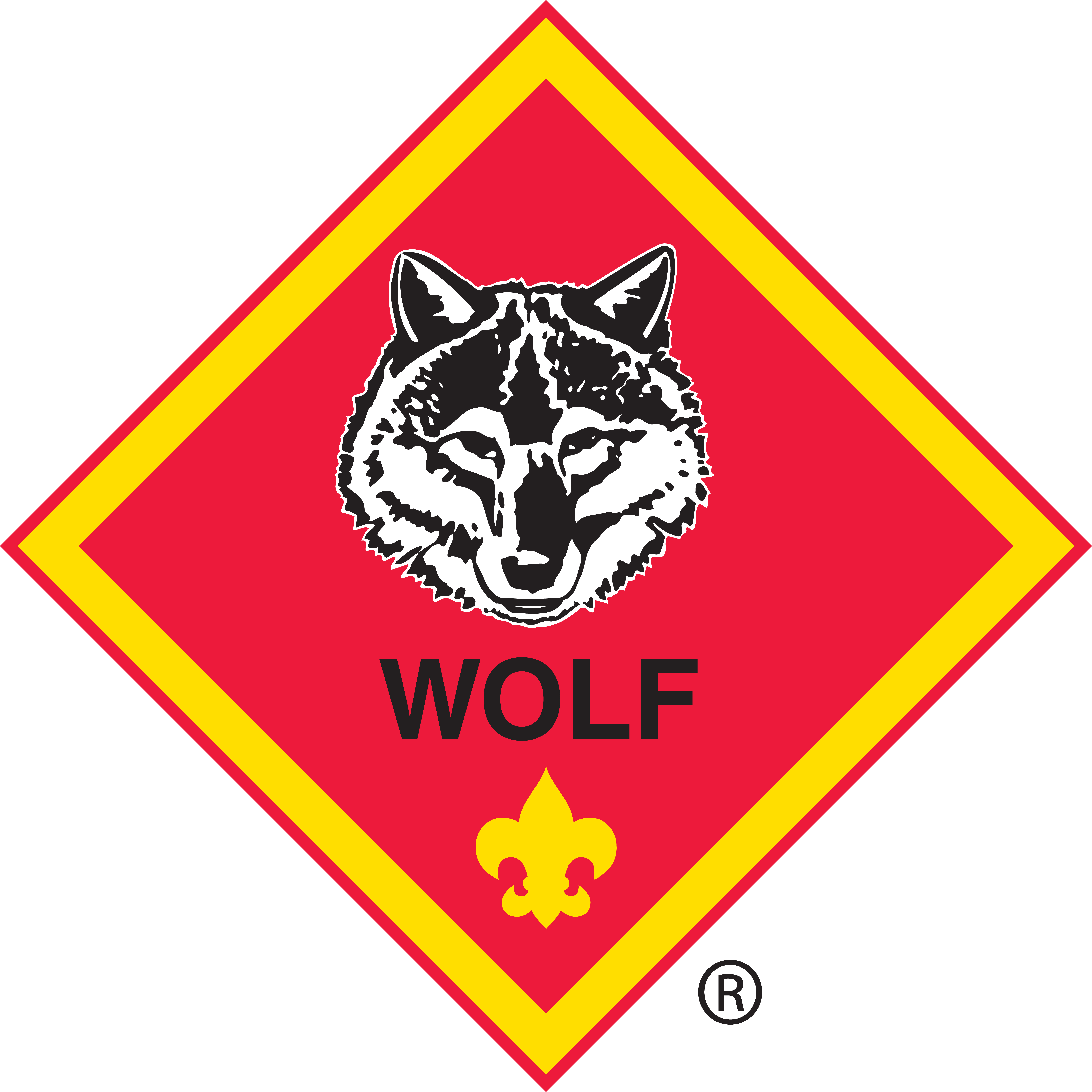 Wolf Scouts